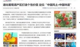 全网最新网红爆料新闻报道,最新网红爆料，揭秘娱乐圈惊人内幕！