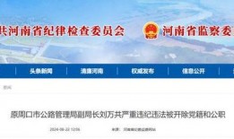 周口市最新爆料案件查询,案情揭秘，疑云重重引关注