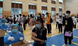 遗落海域最新爆料信息,神秘宝藏揭秘，探险之旅即将开启！